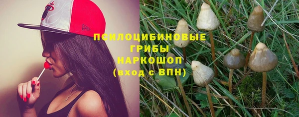 гидропоника Кулебаки