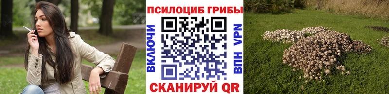 Галлюциногенные грибы ЛСД  Купить закладки  Славск 